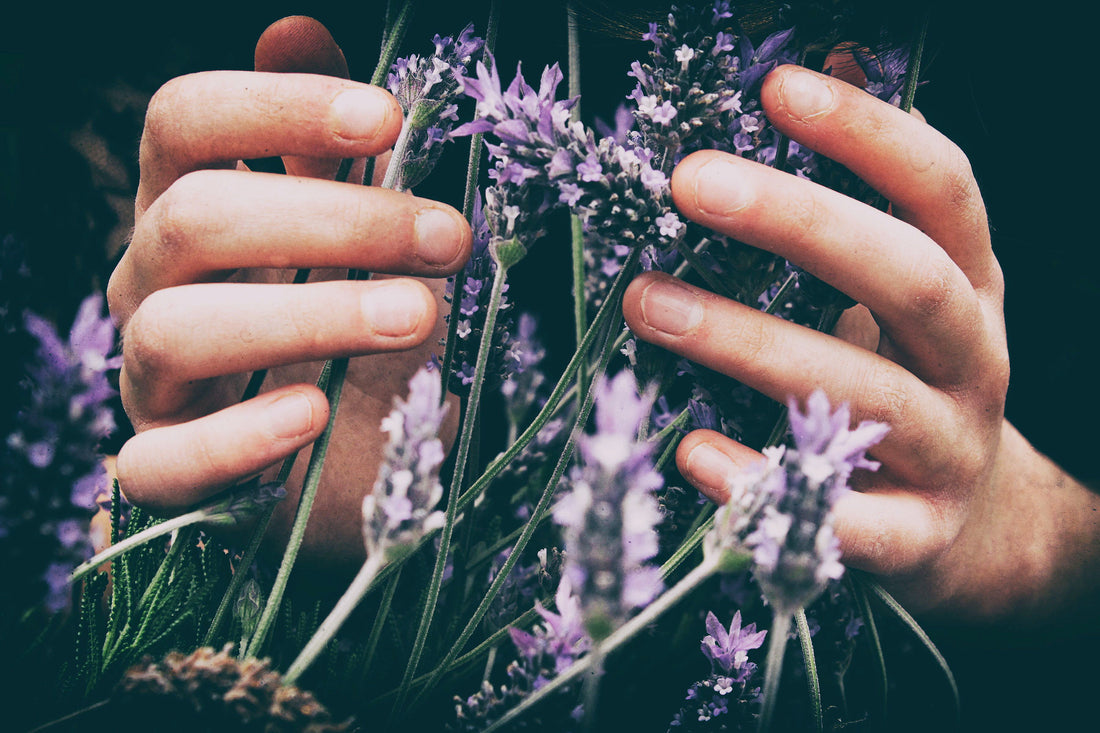 Simple Ways To Alter Your Mood – Essential Oils
